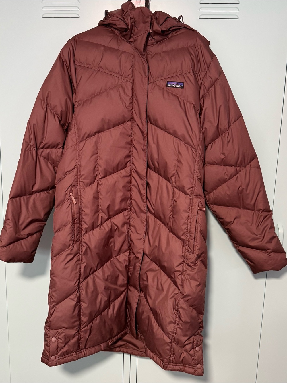 Patagonia Women's Down With It Parka